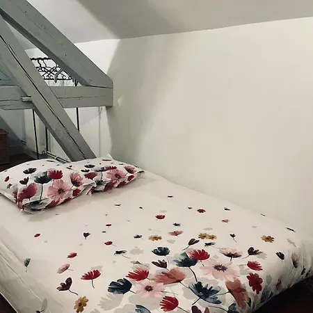 Grand A La Campagne Apartment