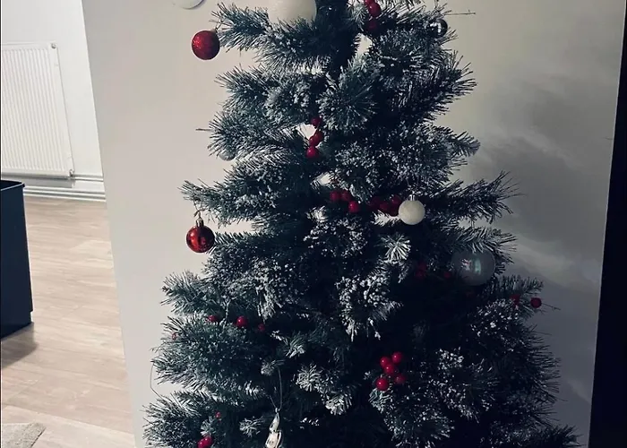 公寓 Grand A La Campagne Celles-sur-Plaine